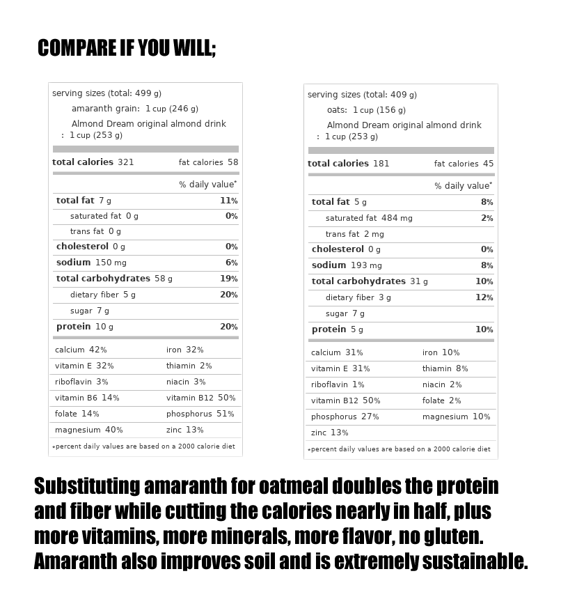 The meme is a side-by-side comparison of the nutritional information for Almond Dream and Oatly plant-based milk. The image displays the nutritional differences between the two, highlighting that Almond Dream has more calories, fat, and sugar compared to Oatly. The text at the bottom of the image reads: "Substituting almond milk for oat milk saves you 1 gram of sugar and 1 gram of fat, but you lose 1 gram of protein."
